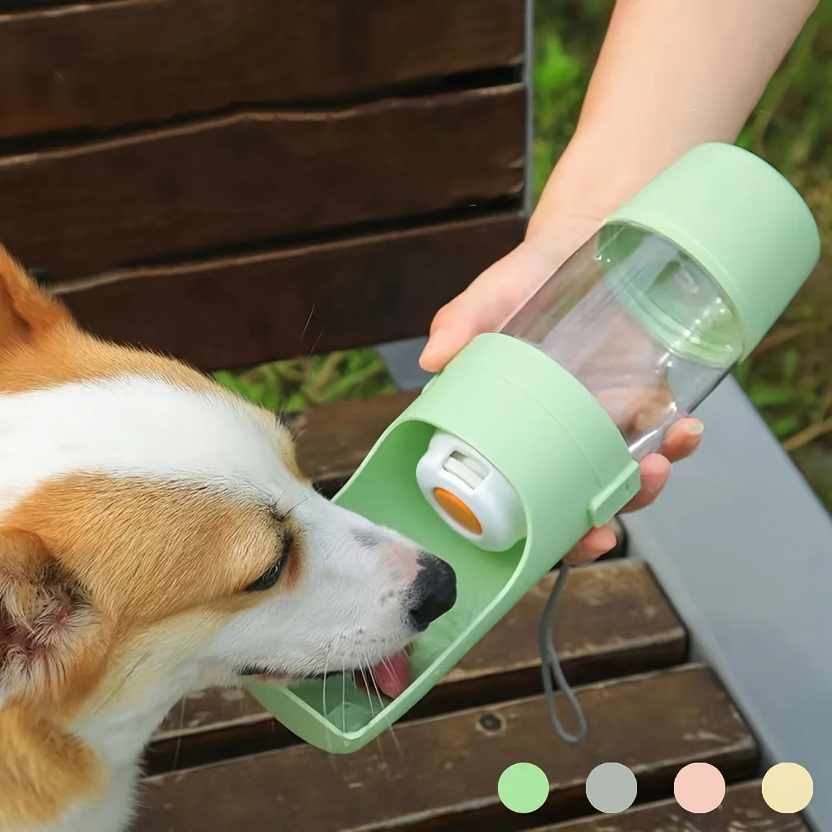 Guau & Miau WaterGo™ | Hidratación Inteligente para tu Mascota